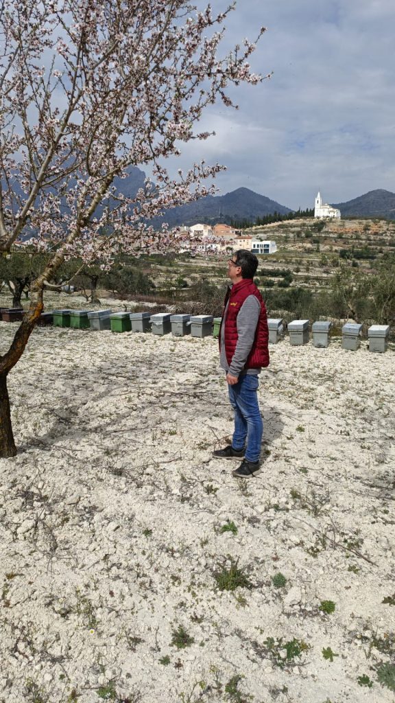 Mirando flores de almendro