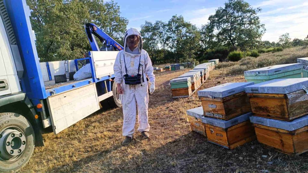 Cargando colmenas en el campo