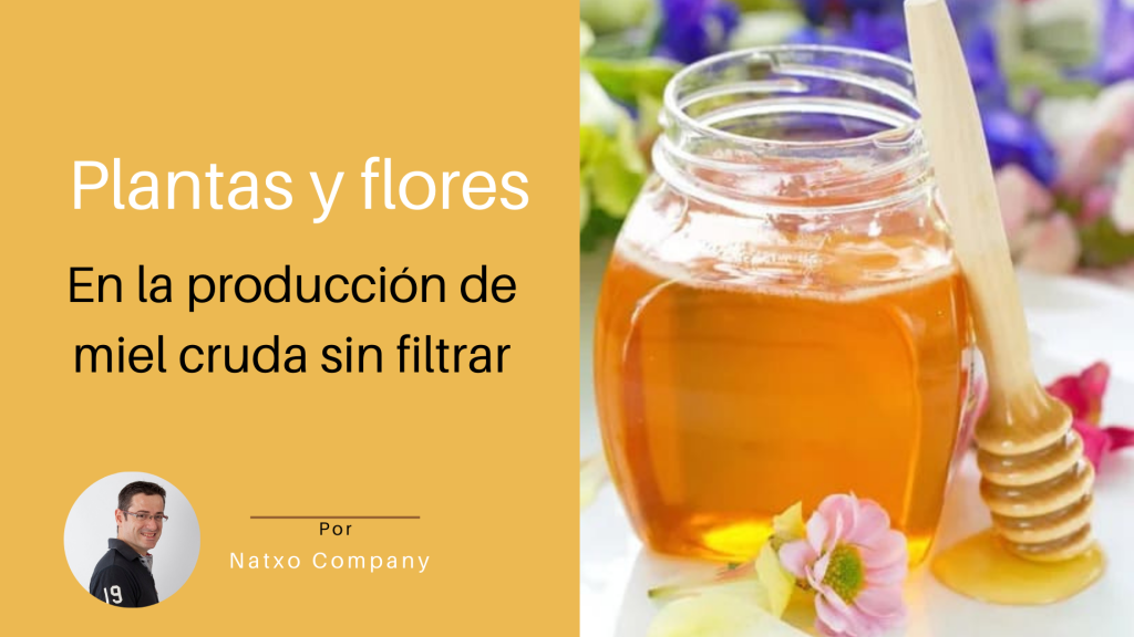 plantas y flores utilizadas en la producción de miel cruda sin filtrar